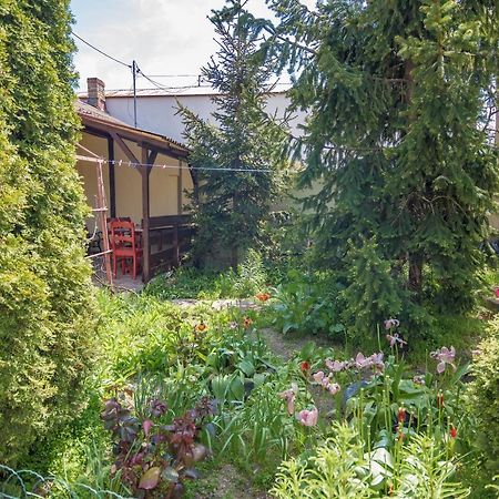 ヴァマ・ヴェケOld Houseアパートメント エクステリア 写真