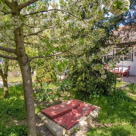ヴァマ・ヴェケOld Houseアパートメント エクステリア 写真