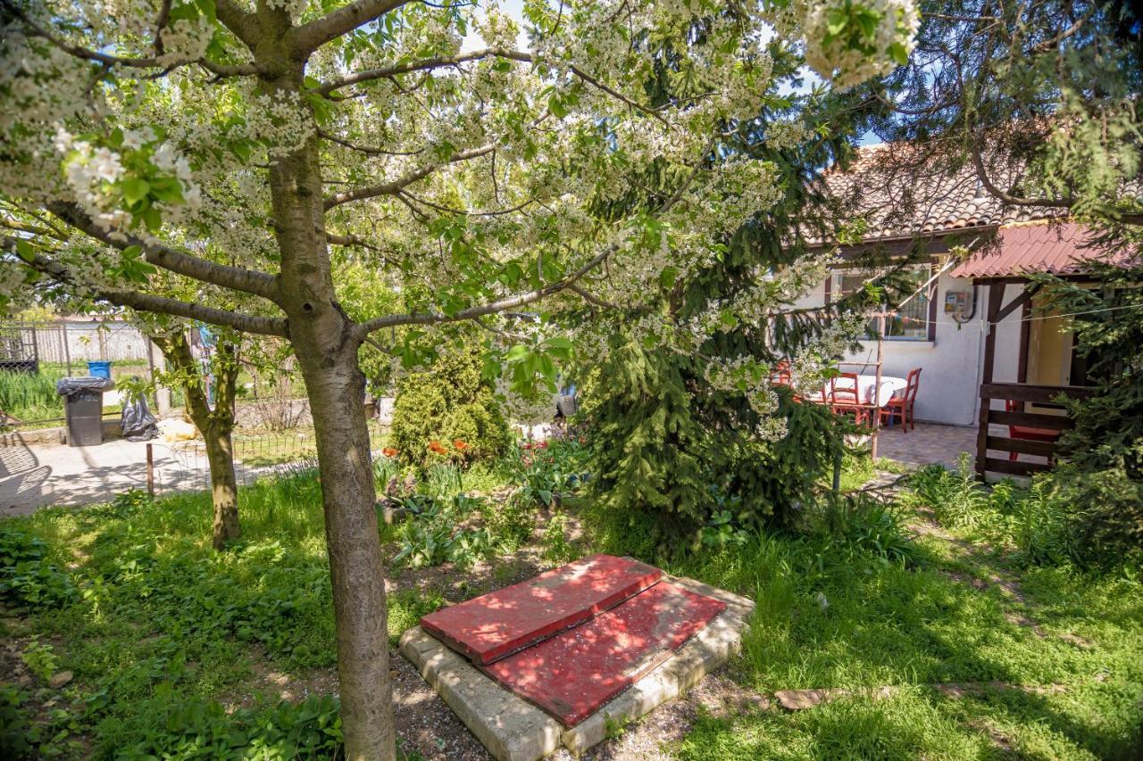 ヴァマ・ヴェケOld Houseアパートメント エクステリア 写真
